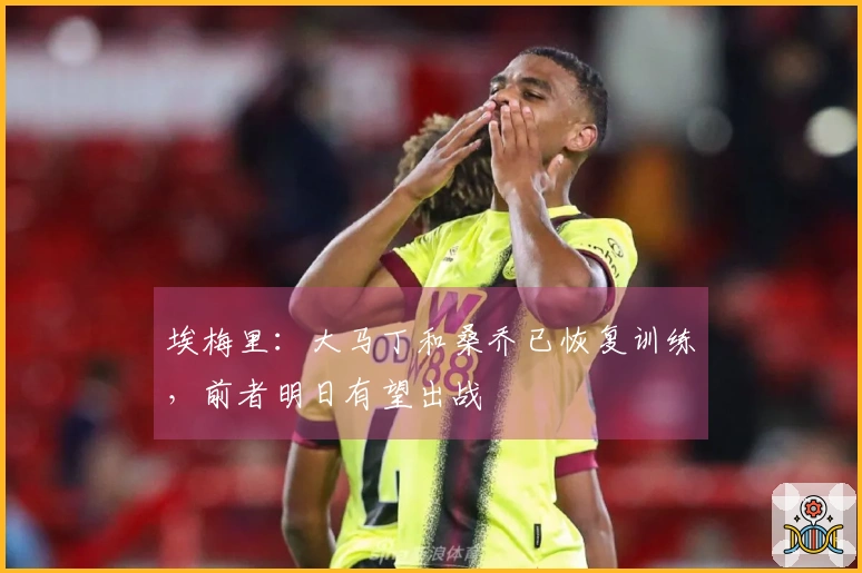 埃梅里：大马丁和桑乔已恢复训练，前者明日有望出战